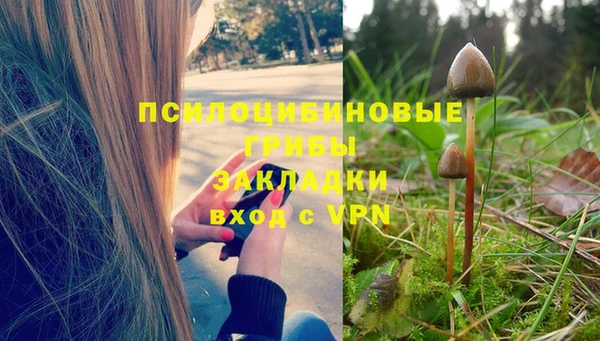 а пвп мука Балабаново